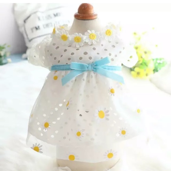 Adorably Pretty White Daisy Tutu Doggie 🐶 Dress - Picture 4 of 4